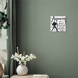 Zodiac Metal Art Print Aquarius