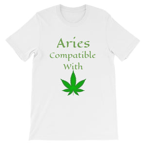 Aries Compatibility Zodiac T-Shirt Unisex T-Shirt - TreasureNoni