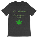 Capricorn Compatibility Zodiac Unisex T-Shirt - TreasureNoni