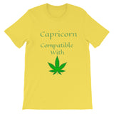 Capricorn Compatibility Zodiac Unisex T-Shirt - TreasureNoni