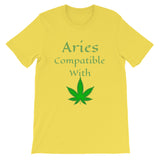 Aries Compatibility Zodiac T-Shirt Unisex T-Shirt - TreasureNoni