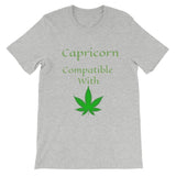 Capricorn Compatibility Zodiac Unisex T-Shirt - TreasureNoni
