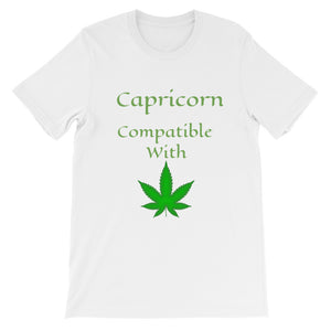 Capricorn Compatibility Zodiac Unisex T-Shirt - TreasureNoni