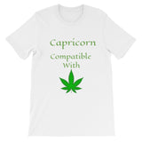 Capricorn Compatibility Zodiac Unisex T-Shirt - TreasureNoni